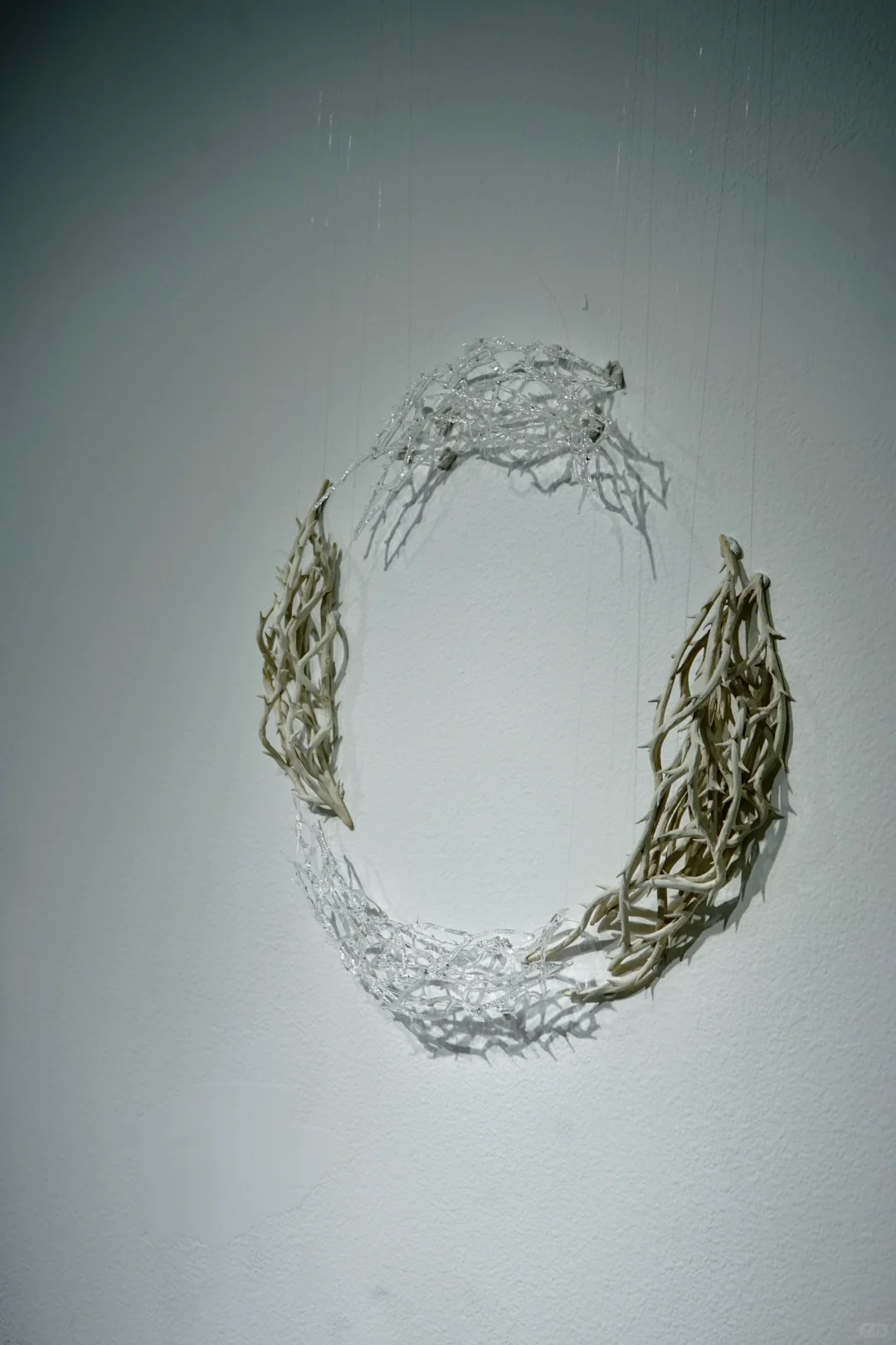 用陶瓷、玻璃做创作的2024年