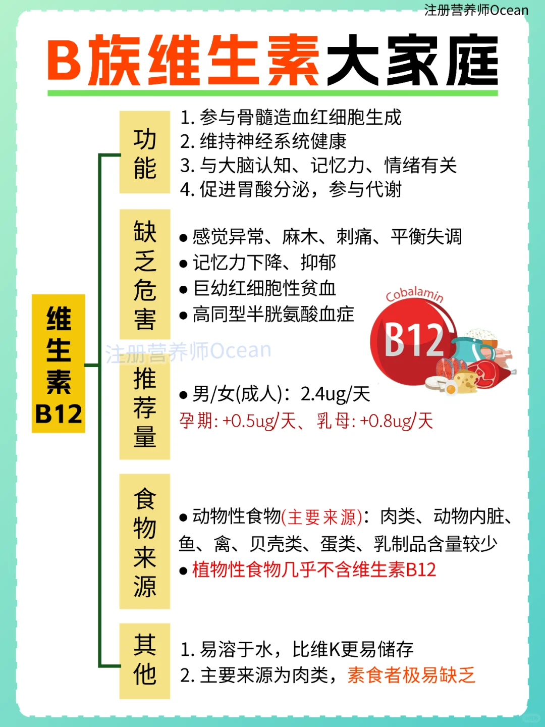 一篇全了解丨强大的B族维生素