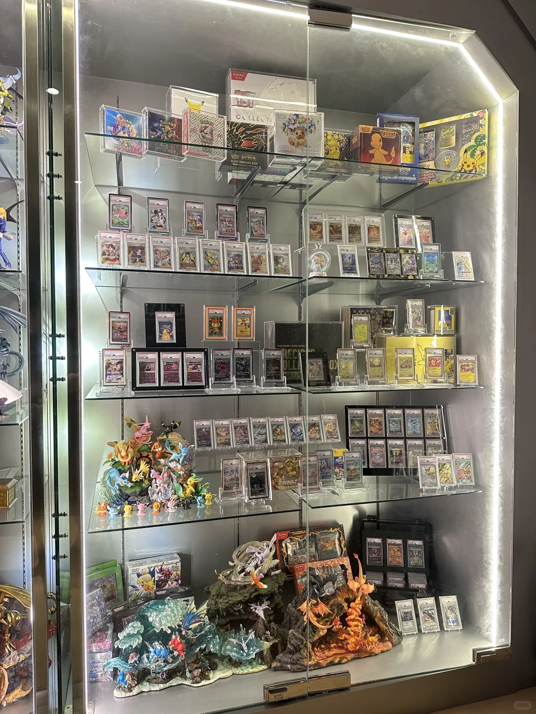 入坑宝可梦卡牌9个月的柜子长这样?