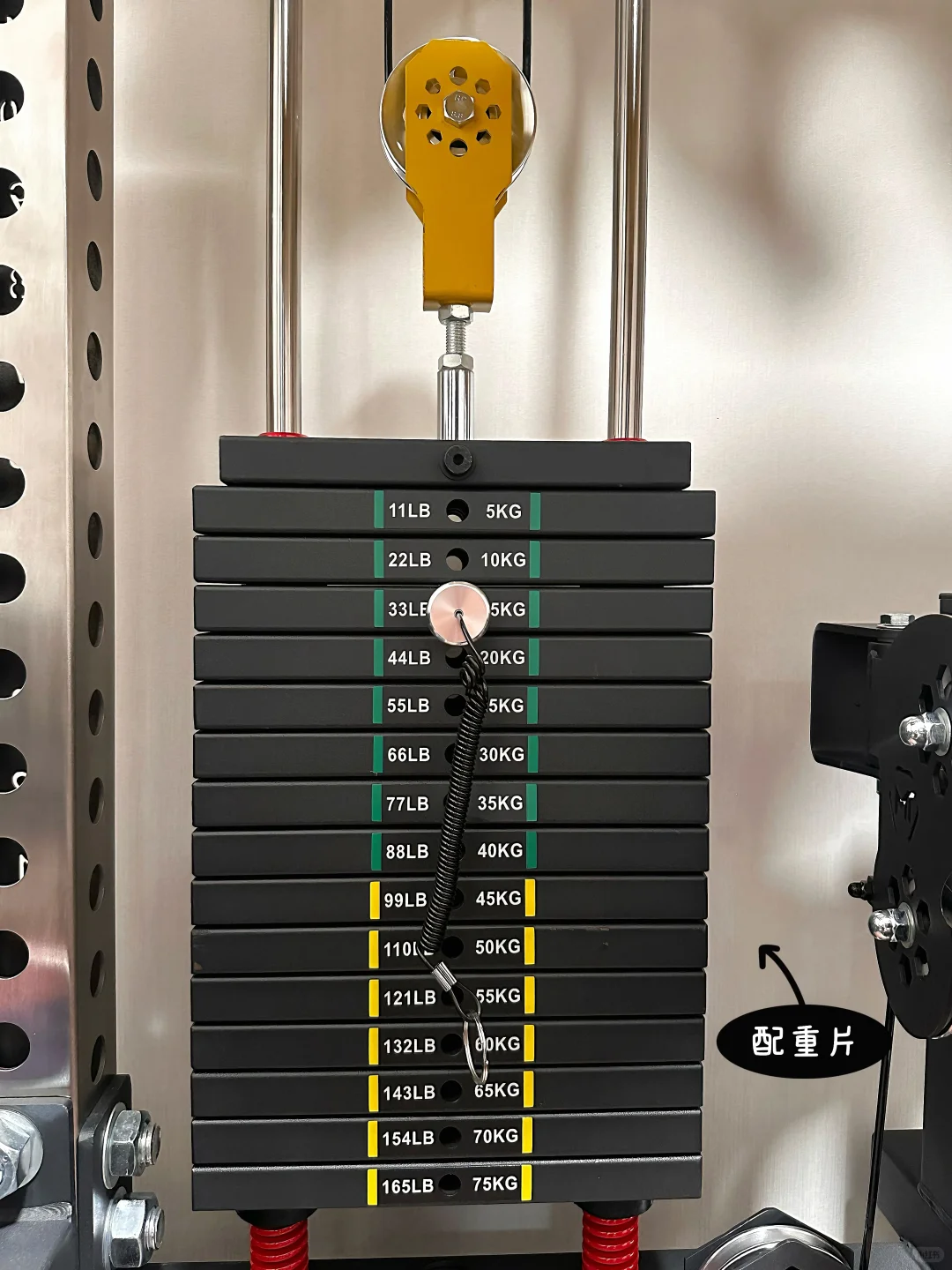 十万人催更的5平米家庭健身房器材清单来袭!