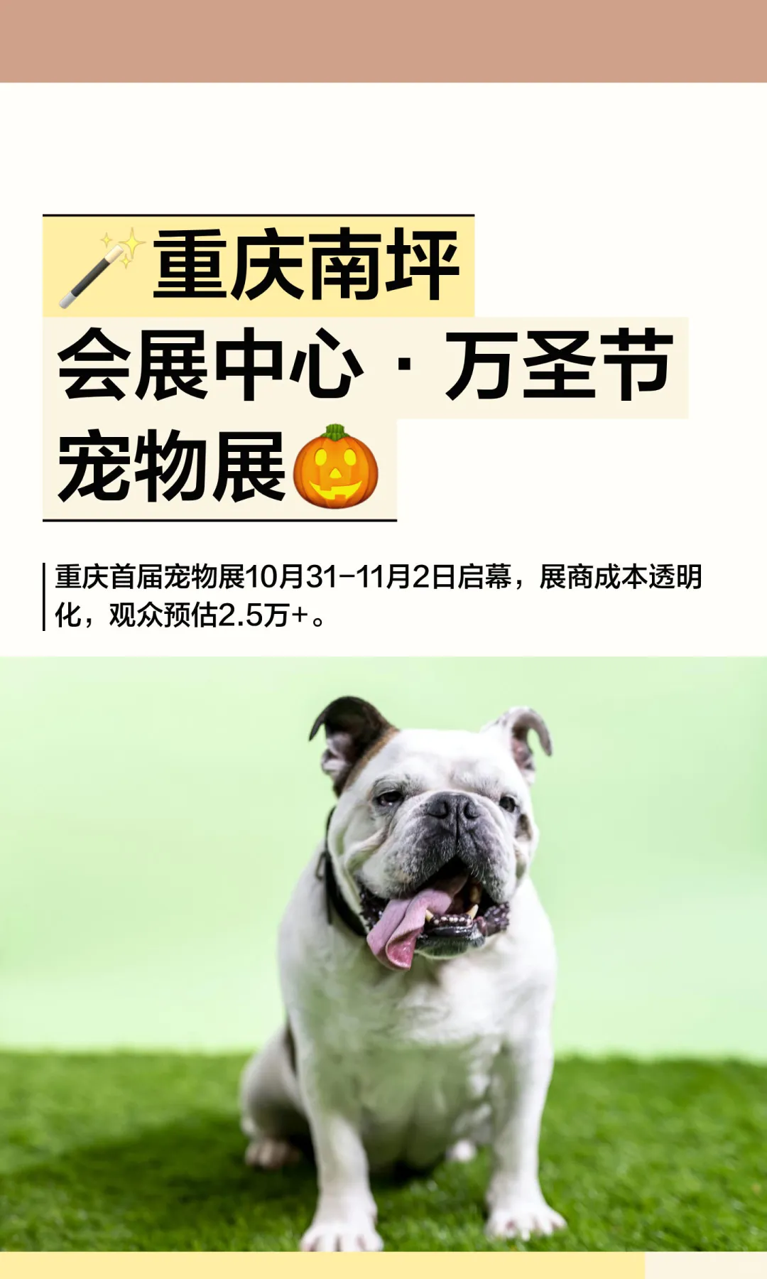 ?重庆南坪会展中心·万圣节宠物展?