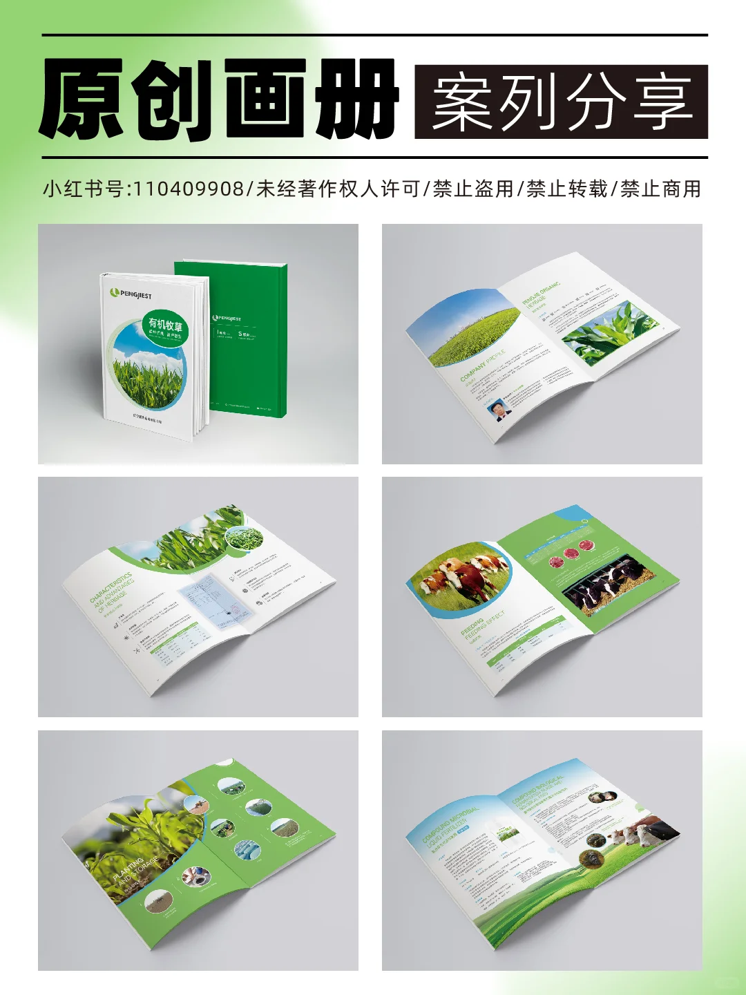 ?【牧草画册设计】?
