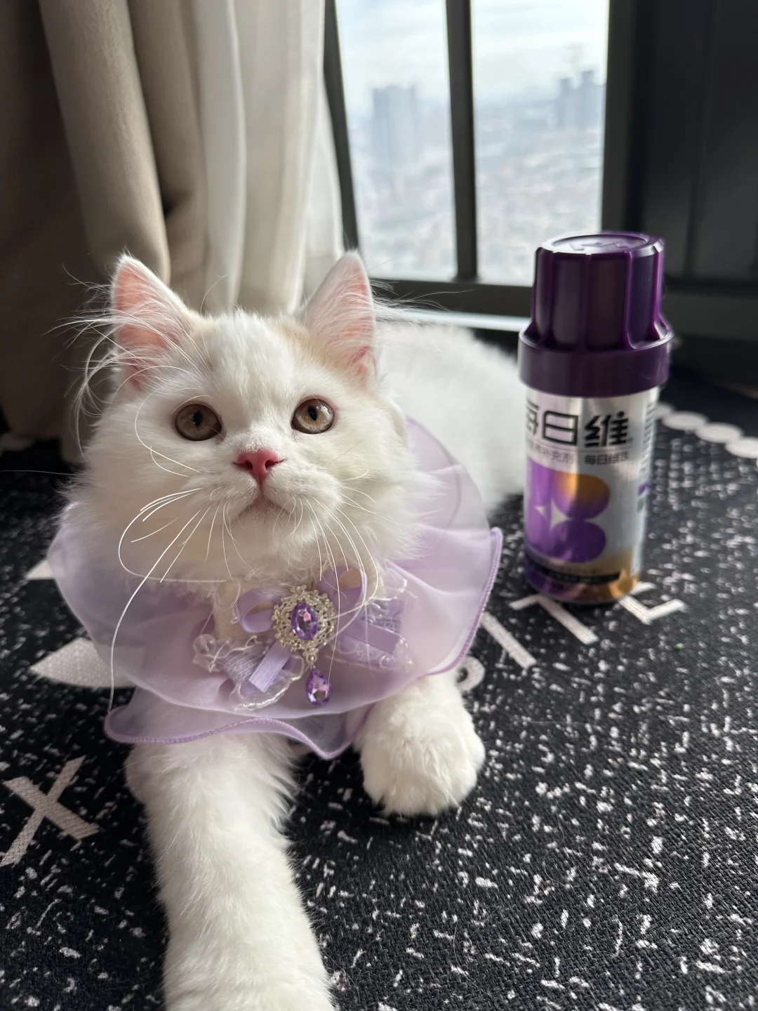 猫咪需要补充维生素b吗