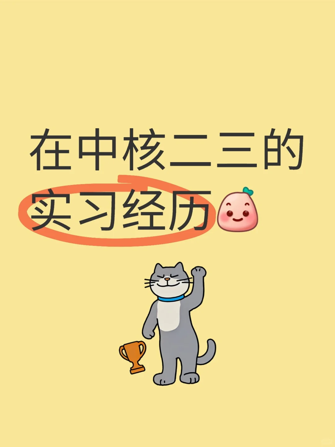 来中核二三的实习生必看