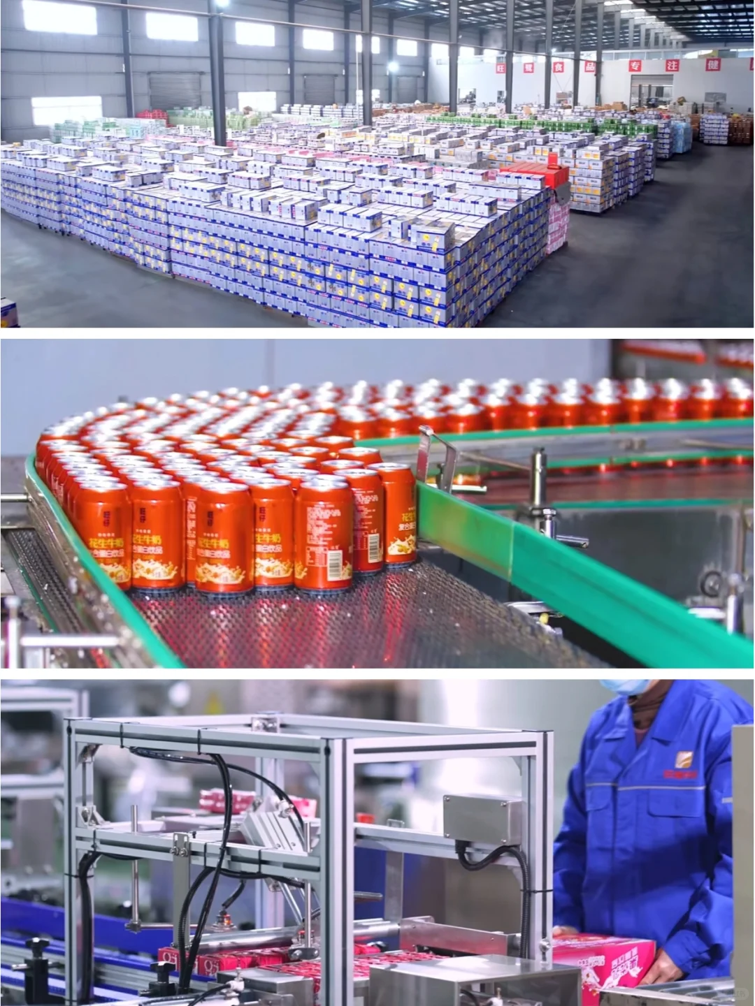 旺鹭食品（旺仔）源头工厂生产参观plog!!