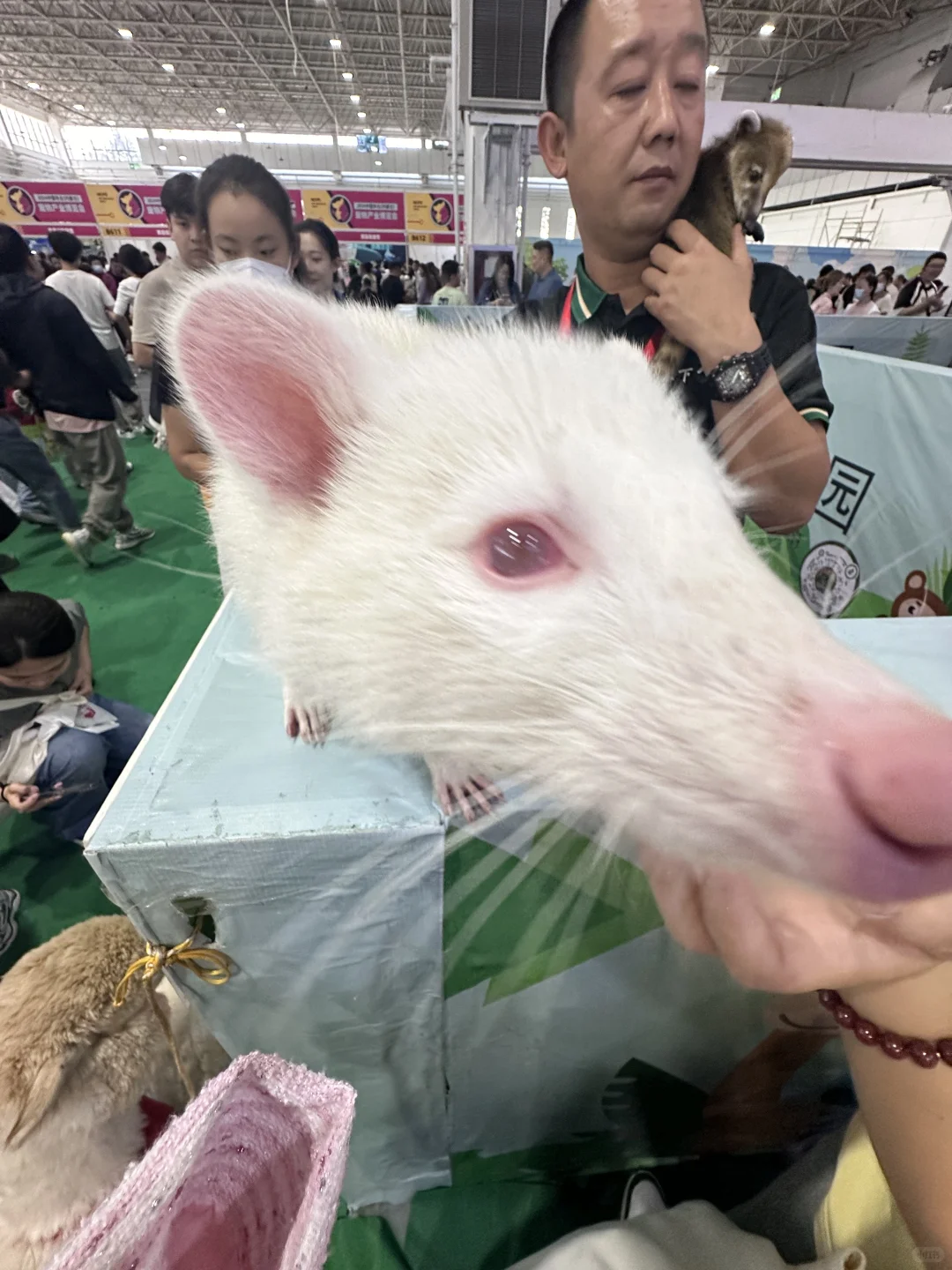呼和浩特宠博会
