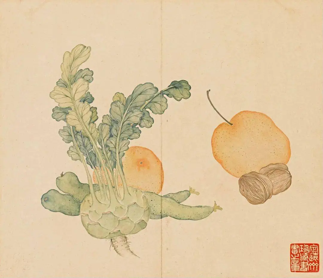 清｜汪承霈｜果蔬杂卉册