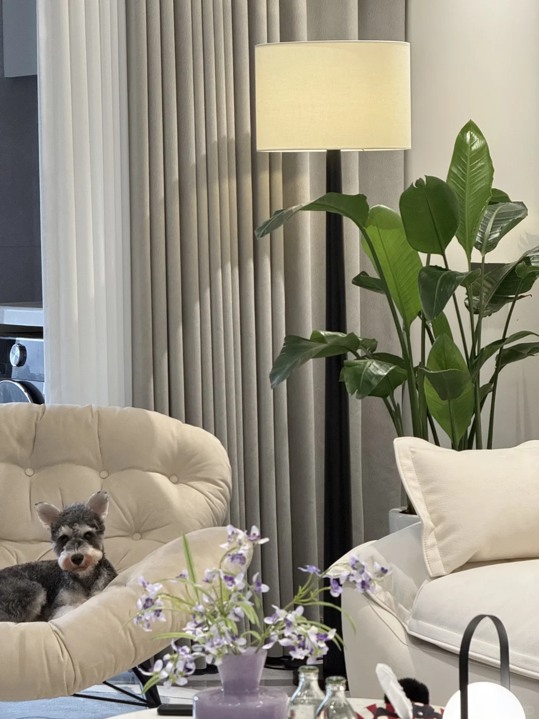 第一次觉得，结婚真好！有家真好！