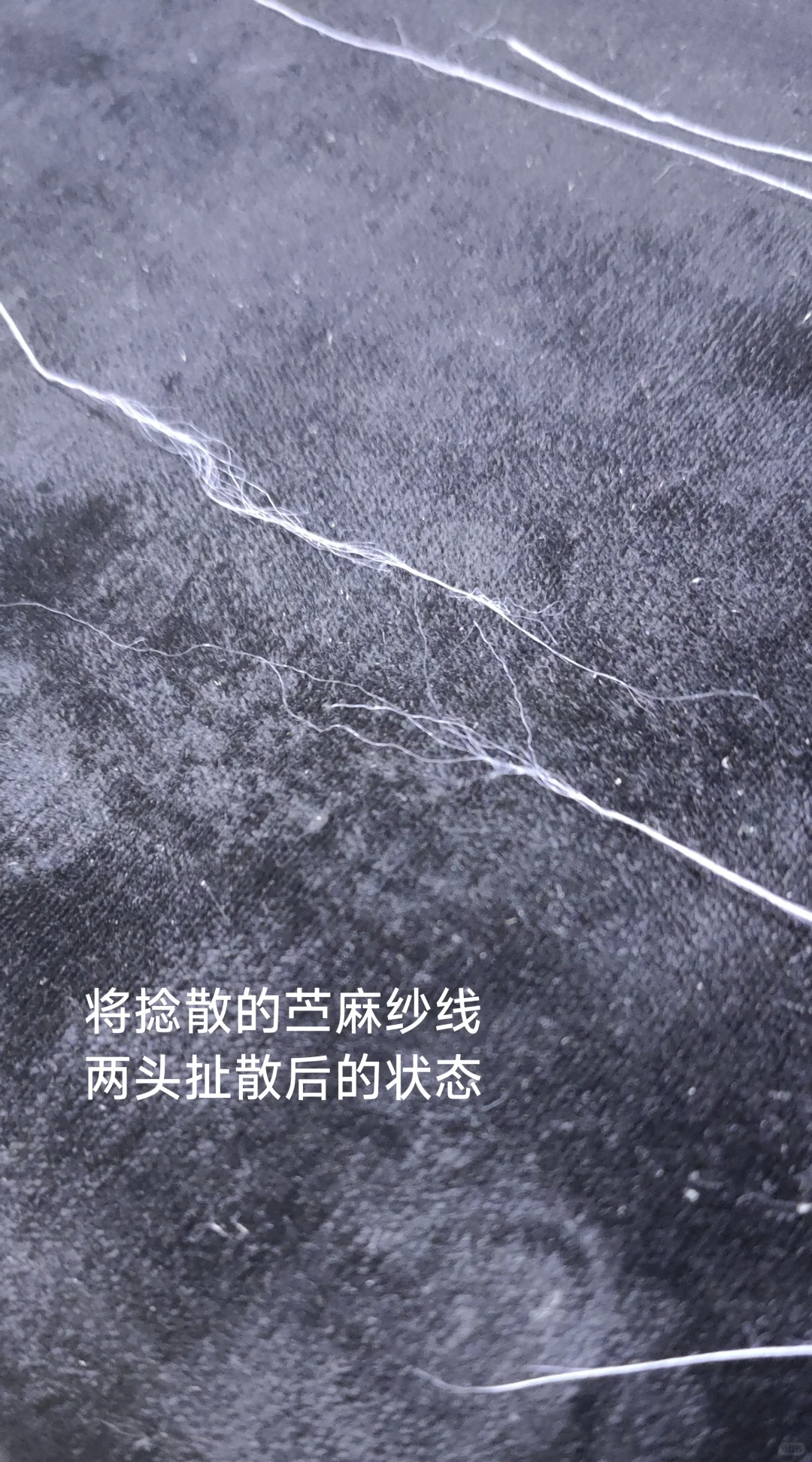 你的衣服真的是苎麻做的吗?一一苎麻鉴别篇