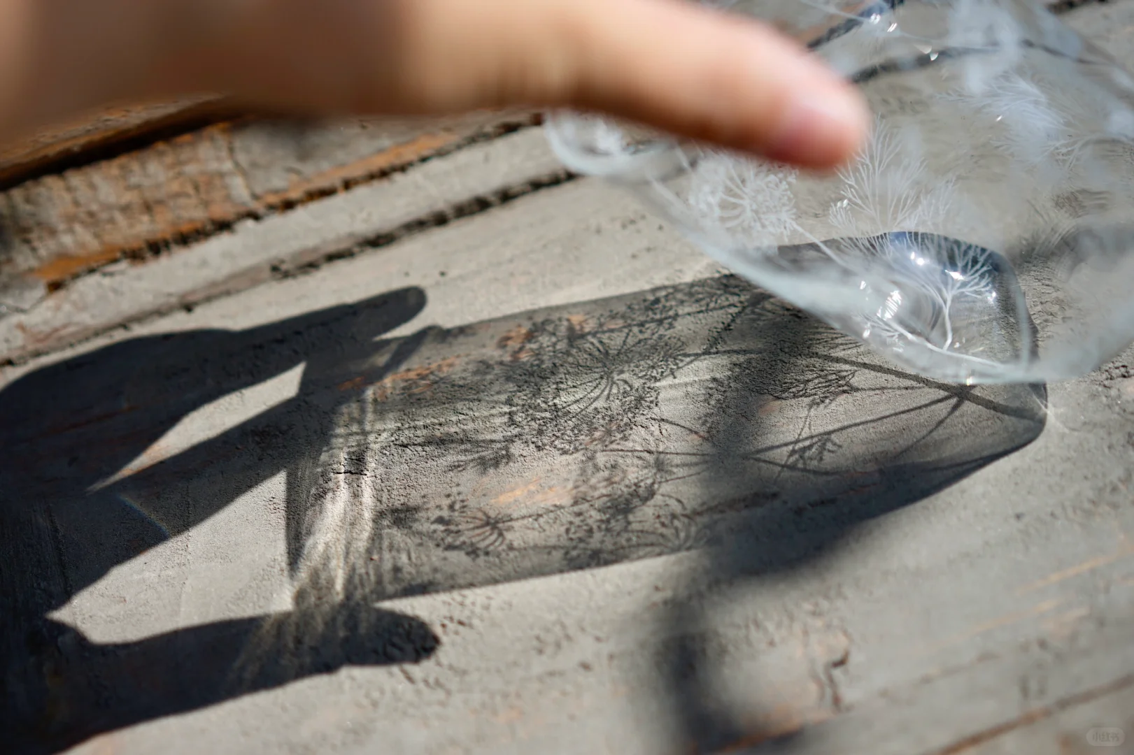 陶瓷太倦 明年换个赛道吧