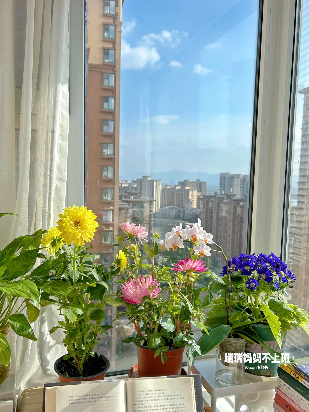 36岁,家是我的能量场,独处是灵魂的充电站✨