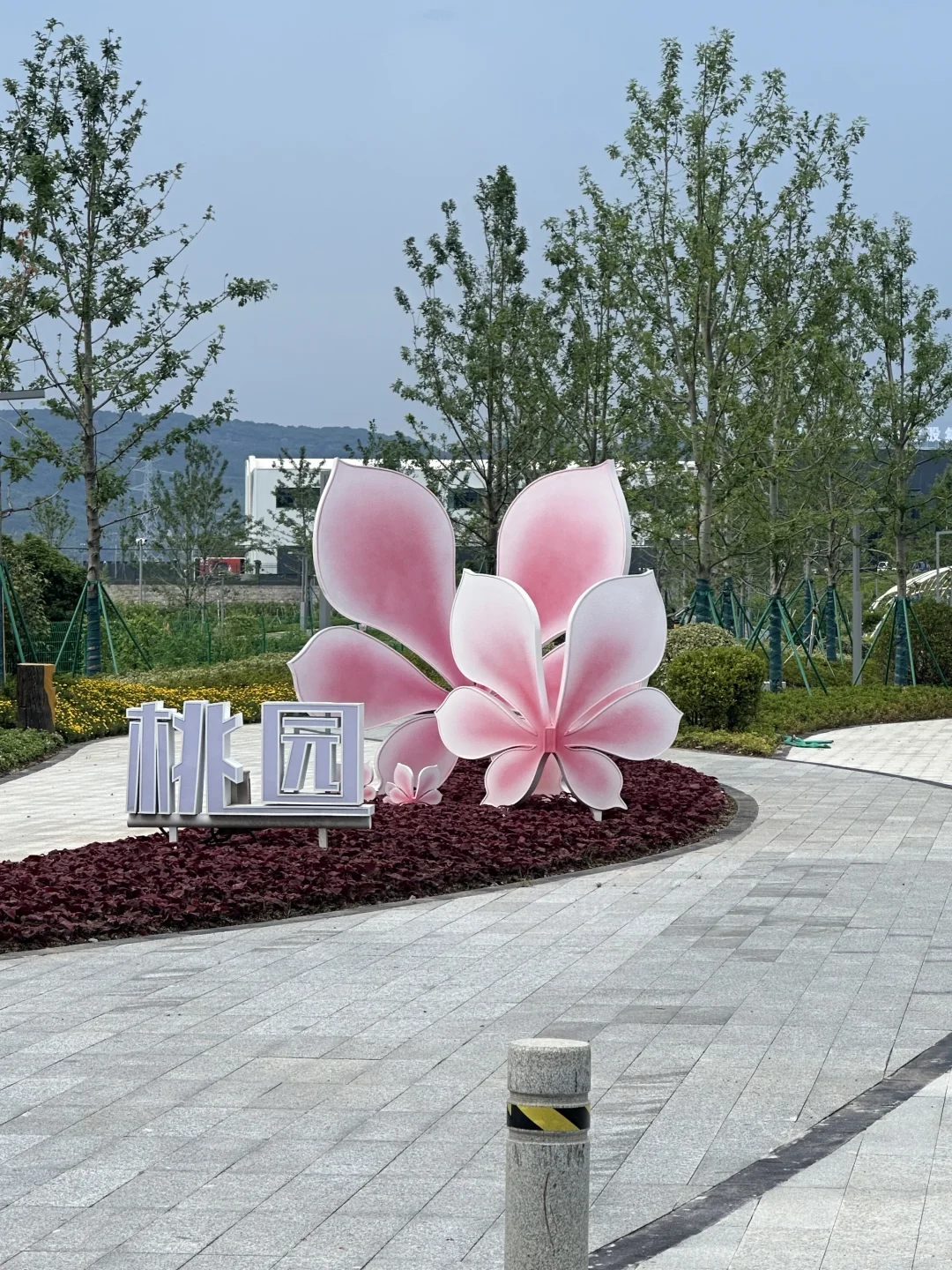 “建行裕农通杯”乡村振兴大赛——调研篇