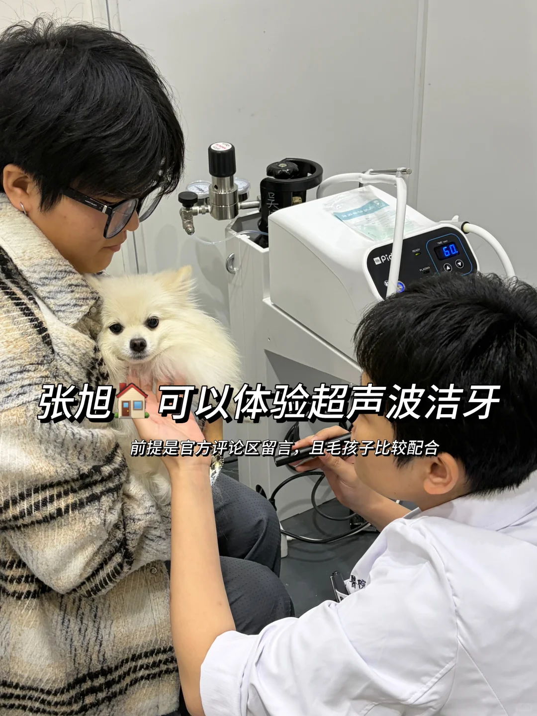 华东国际宠物展薅羊毛别来啦～值不回票价?