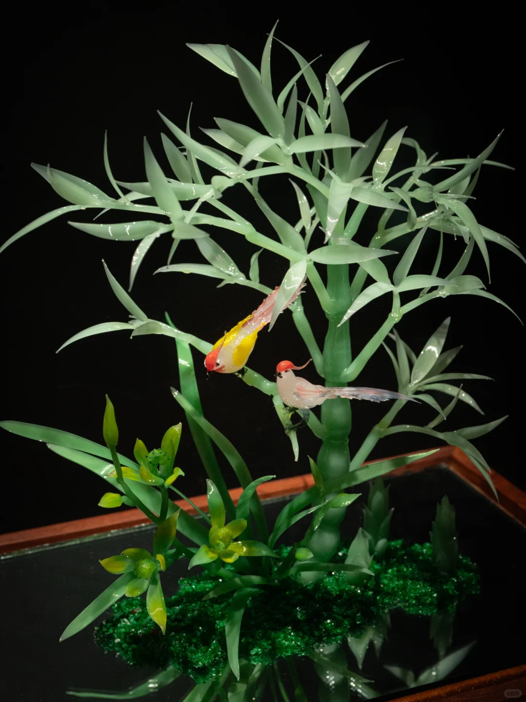 为了看这永不凋零的浪漫，特意来了趟淄博！