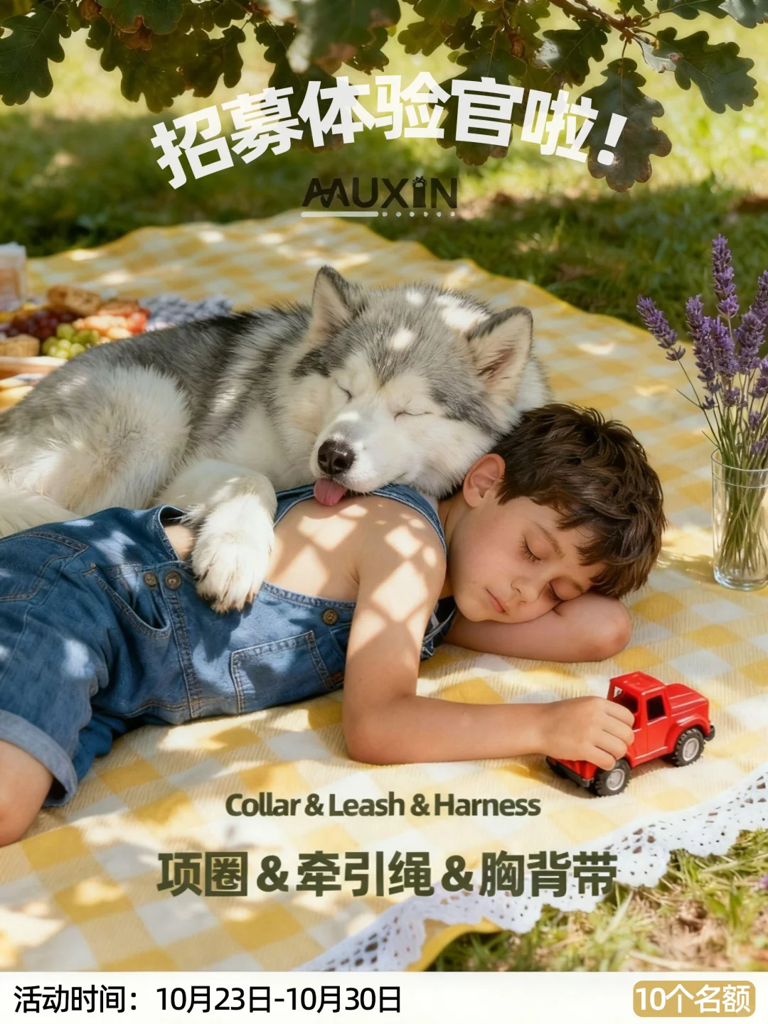 【沐芯 MUXIN】｜第 2 期萌宠体验官