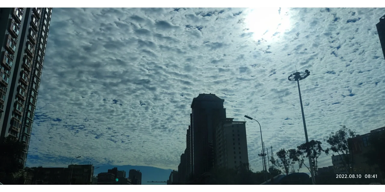 再次建议：不要再在网上问处方了