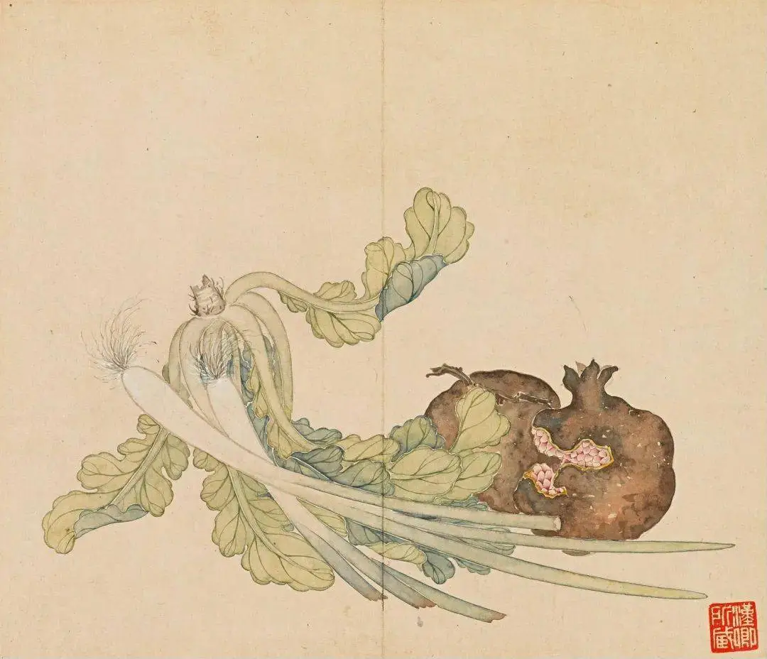 清｜汪承霈｜果蔬杂卉册