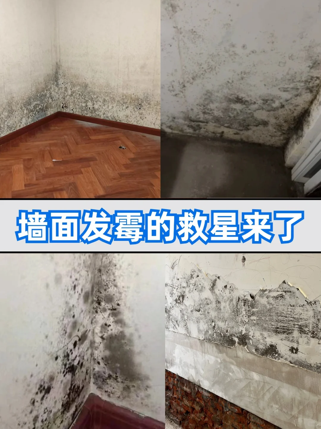 墙面返潮发霉，怎么解决？