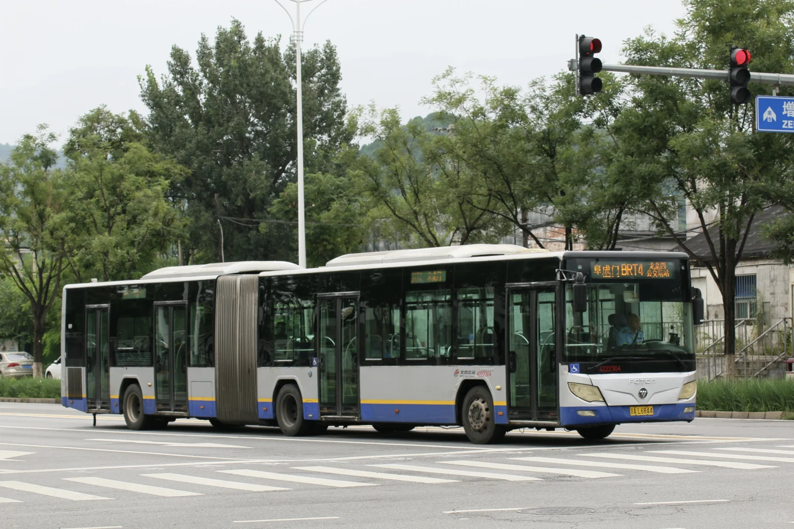 属于他们的最后一夏