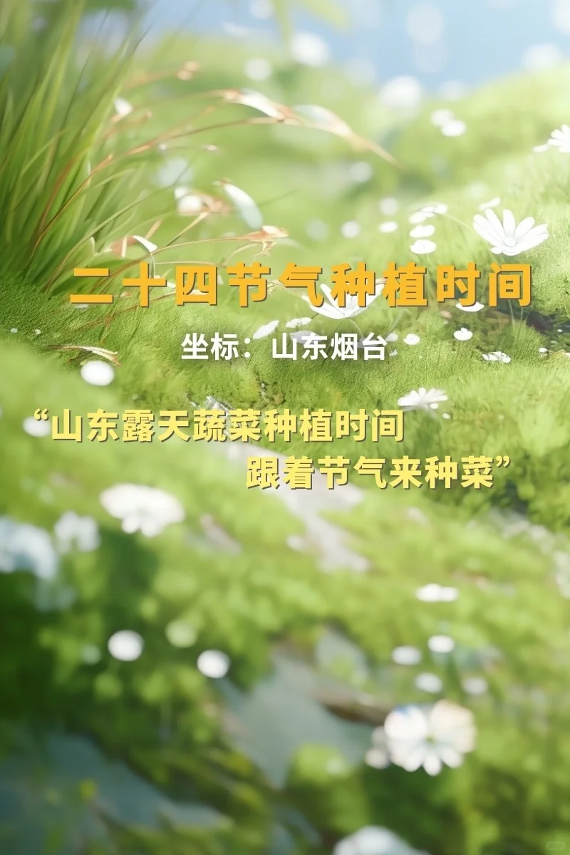 山东烟台二十四节气种菜时间