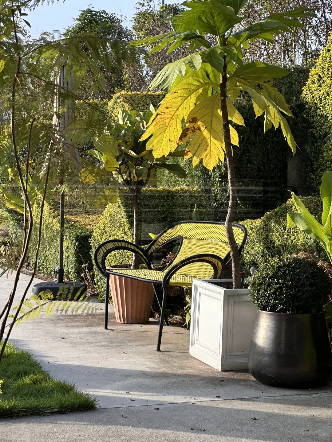 工作日常｜当选面料遇到神仙露台花园