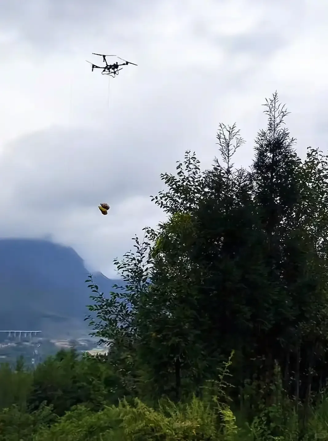 云南村民用无人机收玉米 现代农业仰仗科技