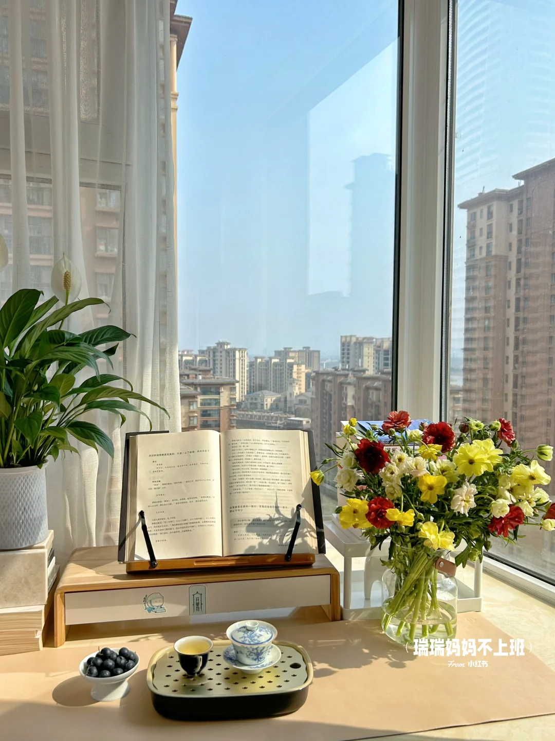 36岁,家是我的能量场,独处是灵魂的充电站✨