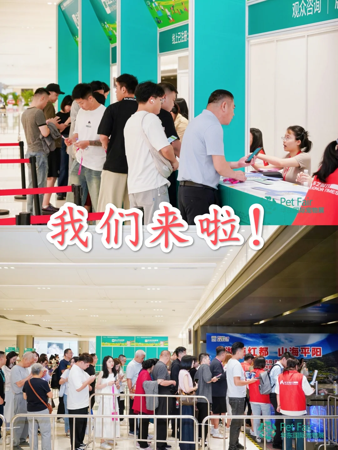 杭州宠友集合！超值得冲的宠物展来啦?