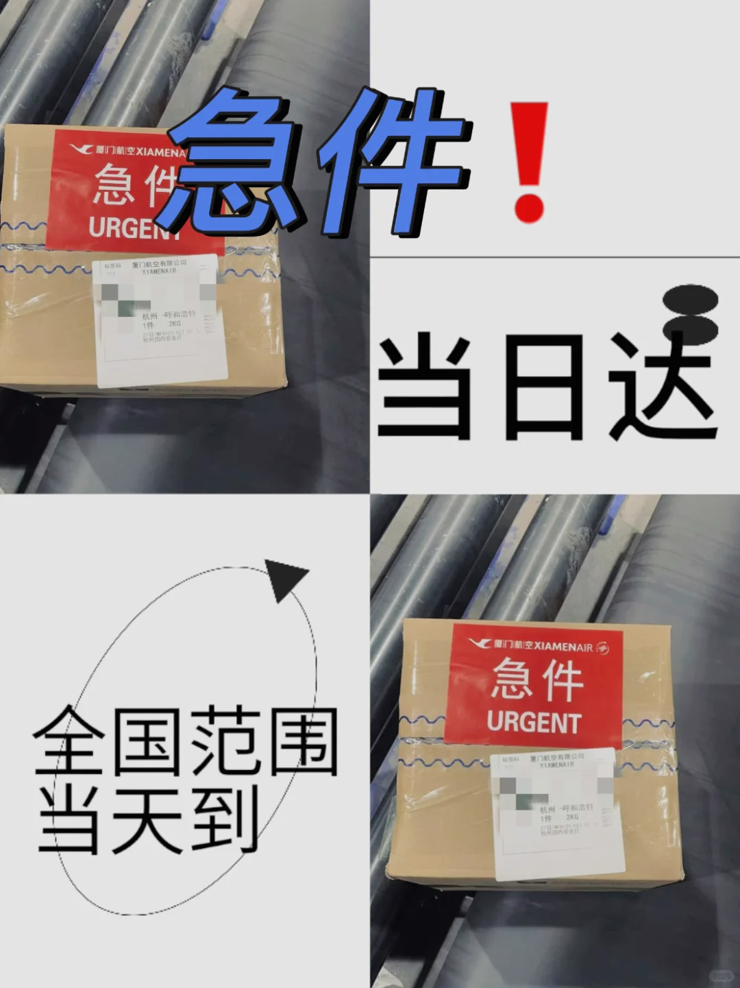 抢时间❗️急件❗️杭州—呼和浩特给我整不会了