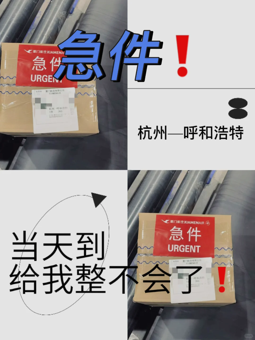 抢时间❗️急件❗️杭州—呼和浩特给我整不会了