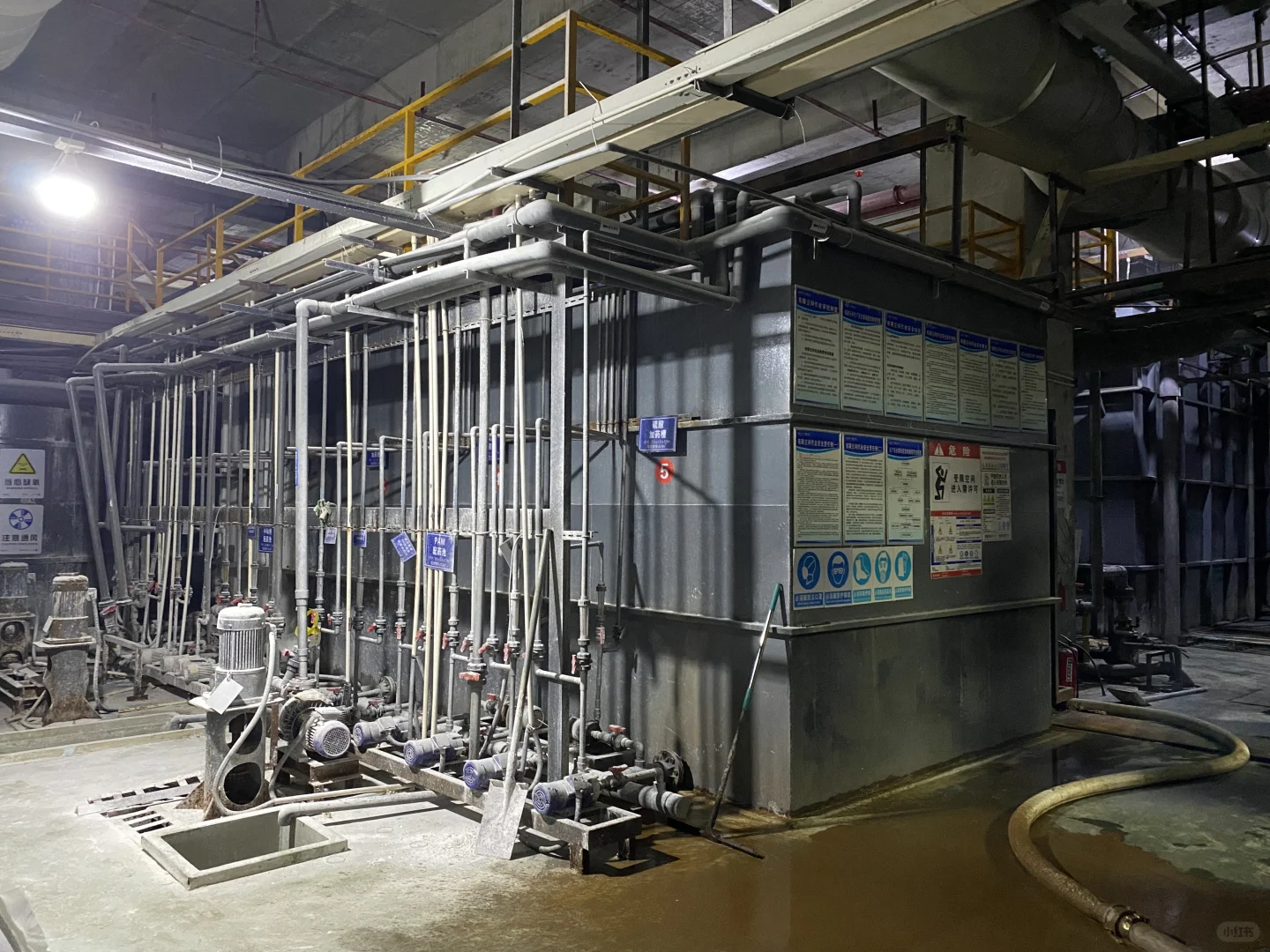 #活性菌种投放#污水处理