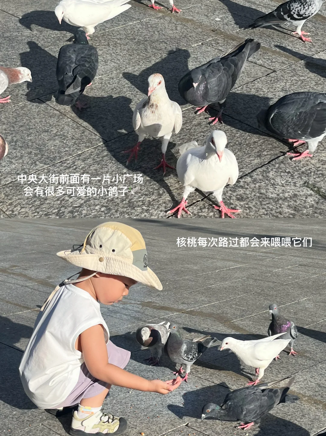 科学备孕选对排卵检测仪很重要❗️