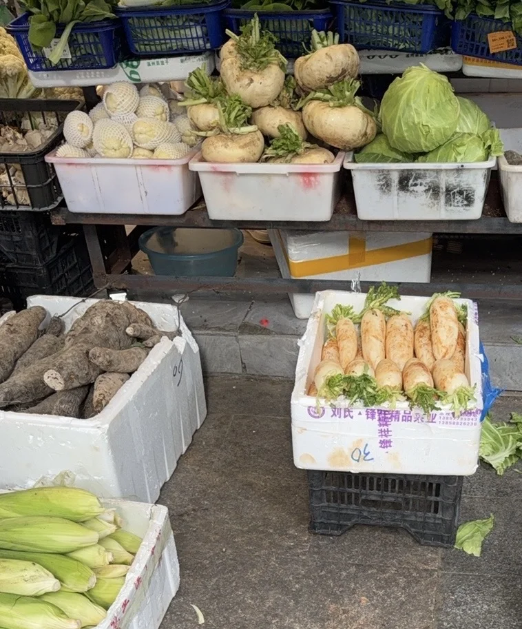 恢复能量D3“多”啦啦啦