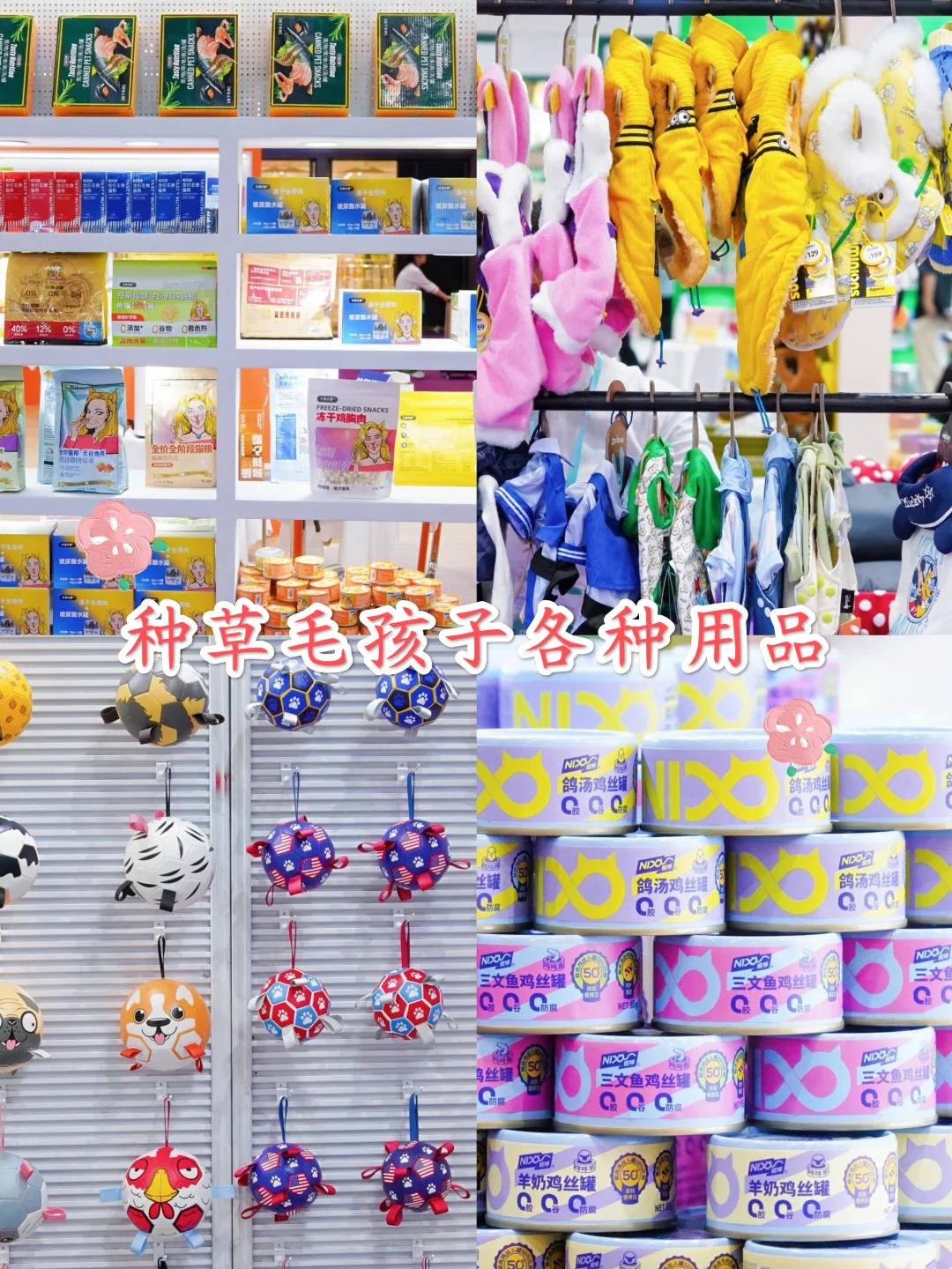 杭州宠友集合！超值得冲的宠物展来啦?