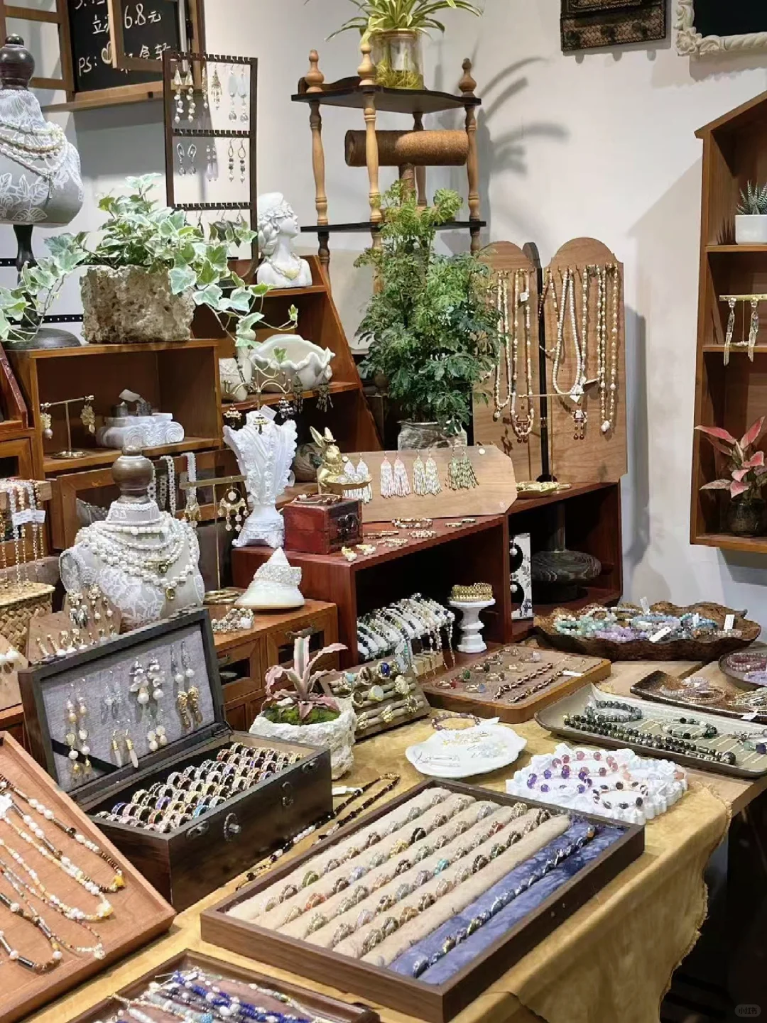 阴天也很治愈｜我的室内小森林角落?