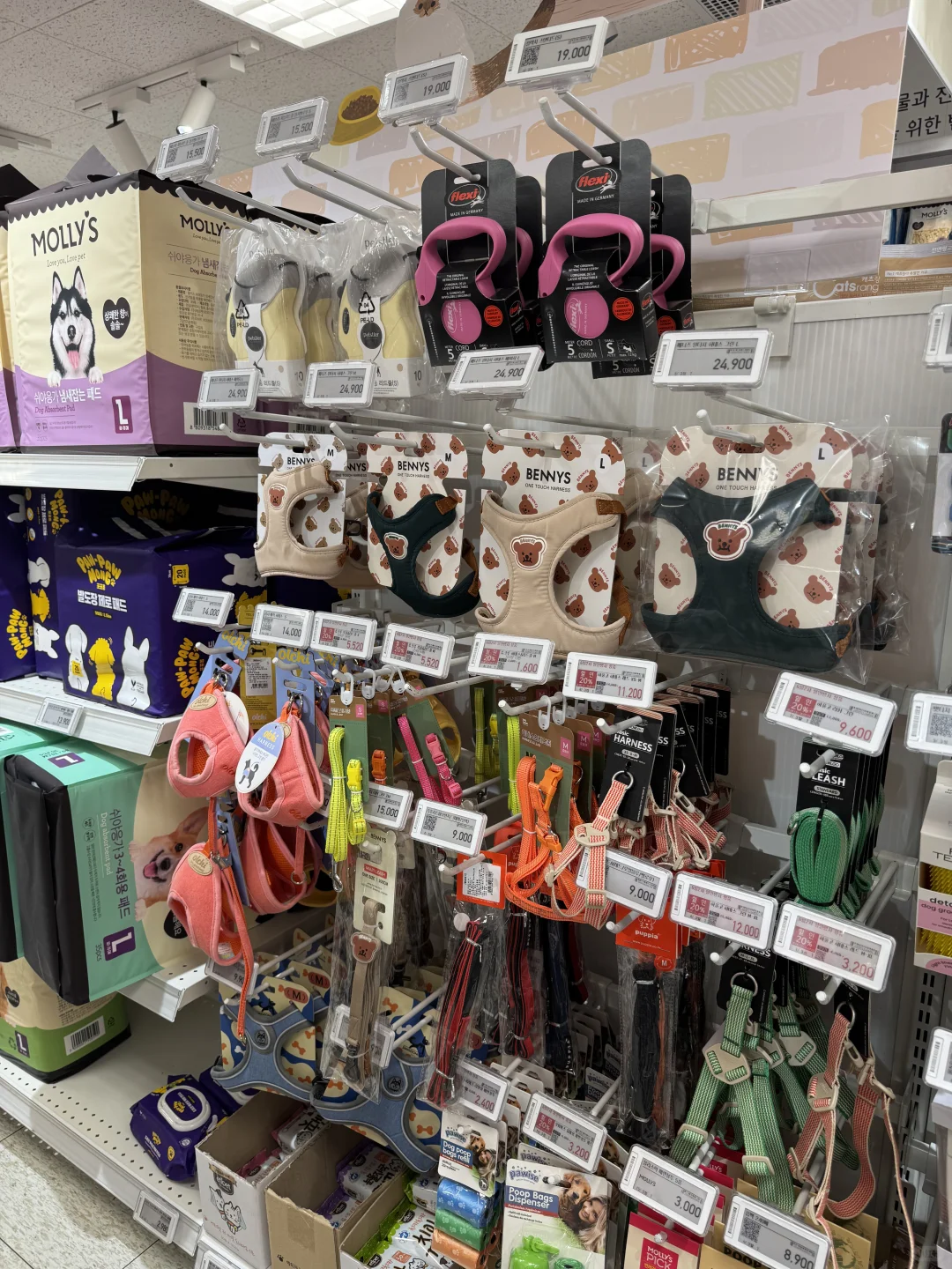 养狗人济州岛打猎攻略?勇闯?家店宠物店！