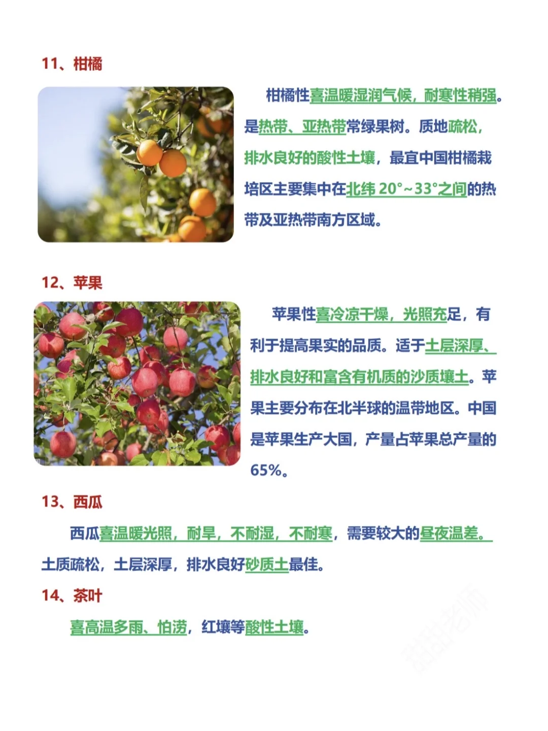 高考地理之农作物！超详细超有用❗️❗️