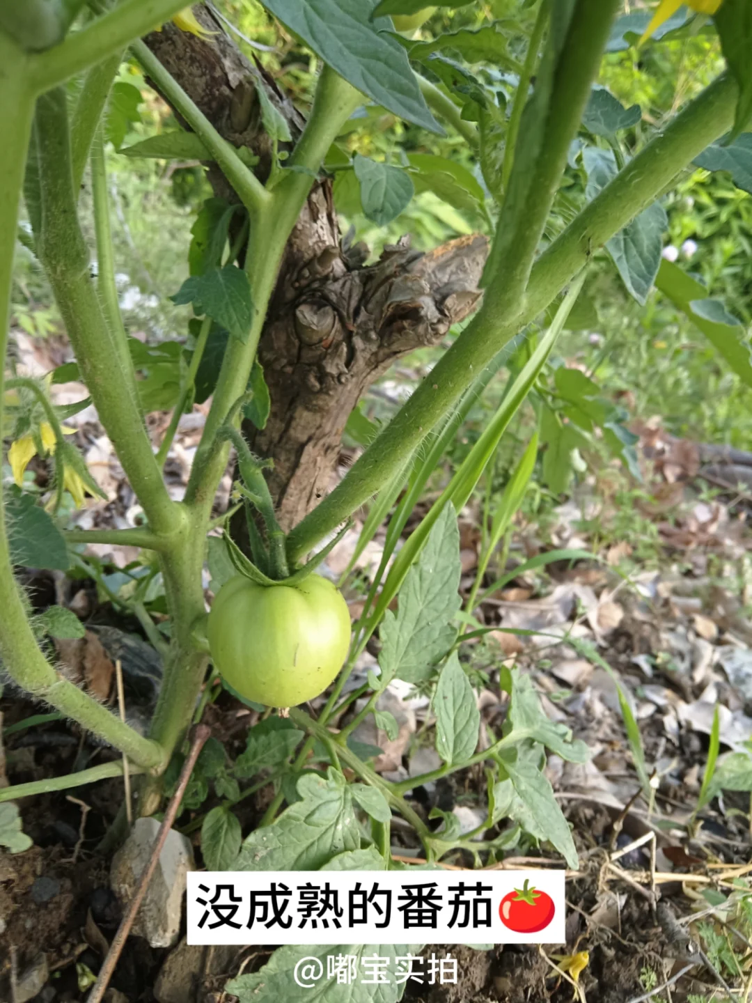 怕你们城里人没见过这些…