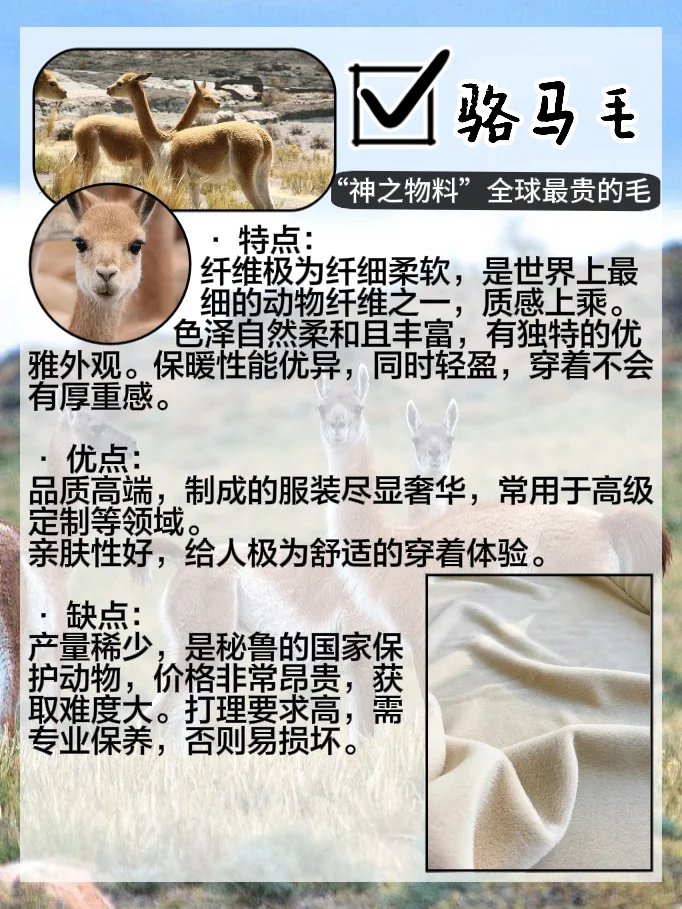 面料 | 秋冬季常见10种动物毛质面料