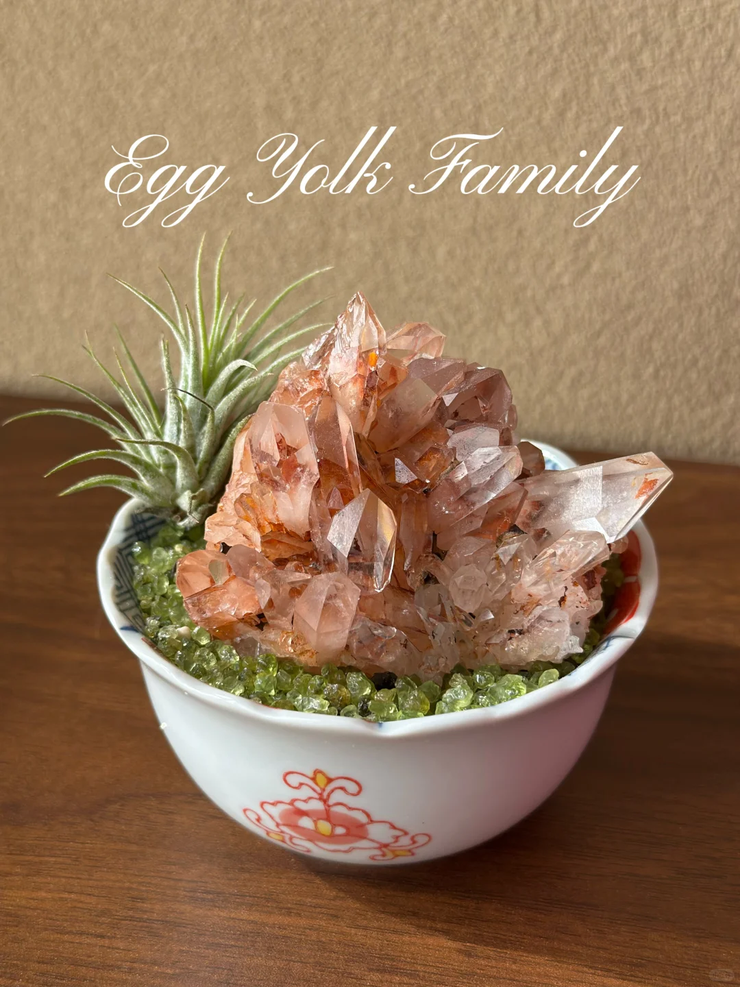 你更喜欢哪个呢✨