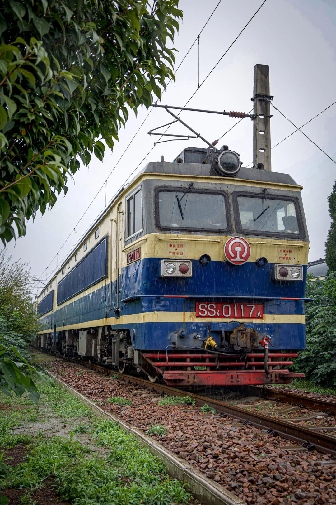 10月对他们的追逐