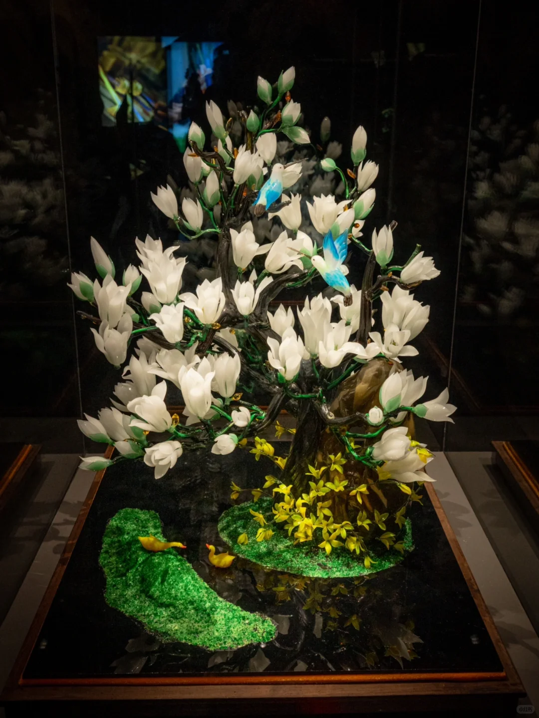 为了看这永不凋零的浪漫，特意来了趟淄博！