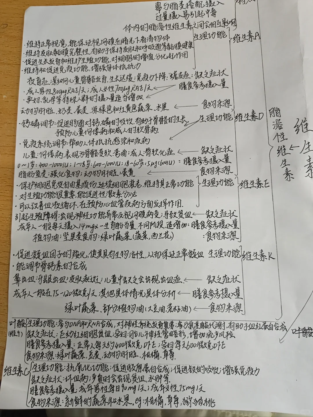 维生素思维导图