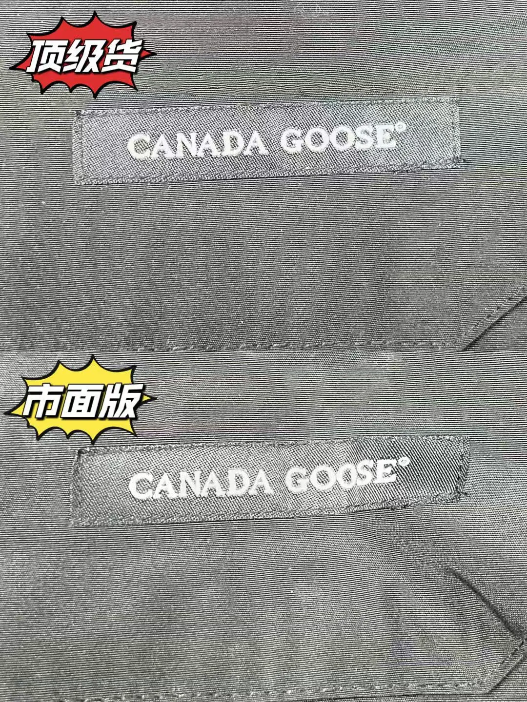 鉴别加拿大鹅学会这几个关键细节就够啦❗️❗️