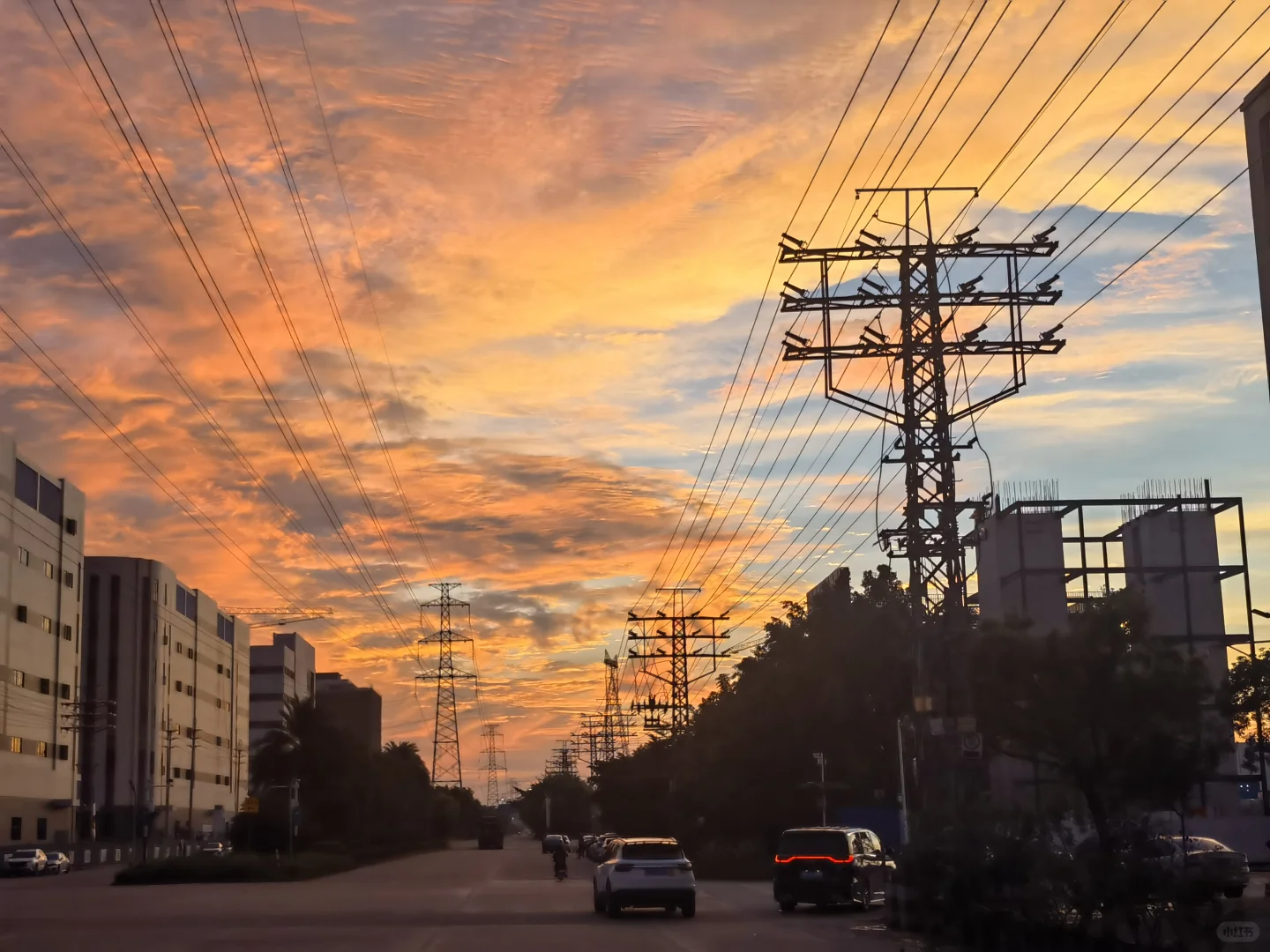 我我我我我我我我中标啦！