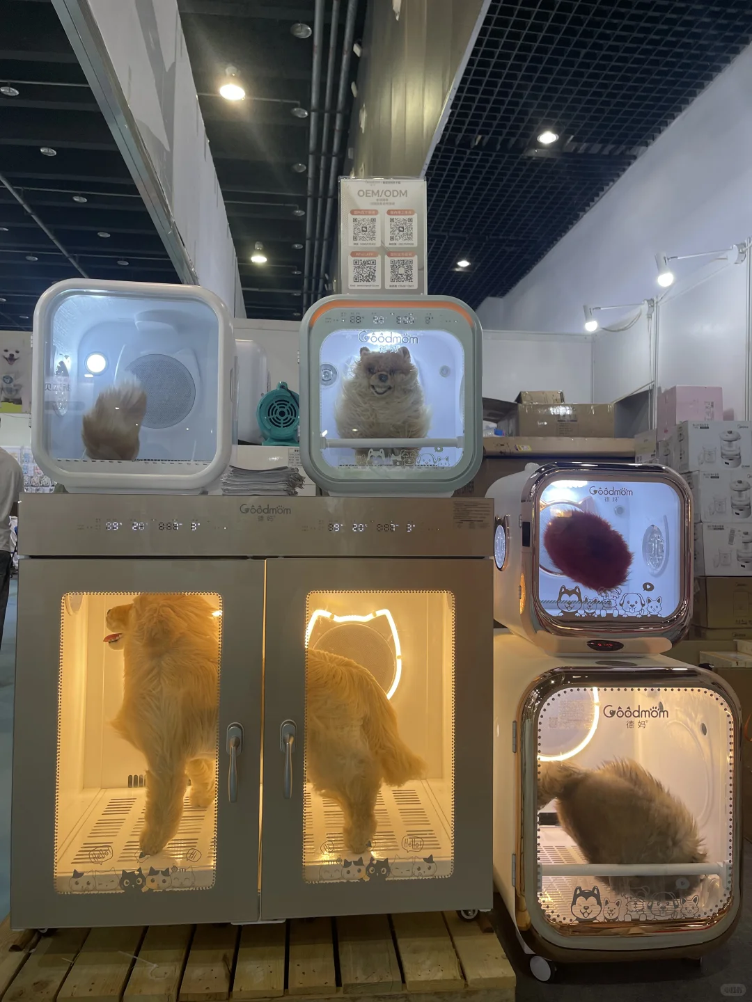 义乌宠物用品档口：“它”经济势头正猛❗️