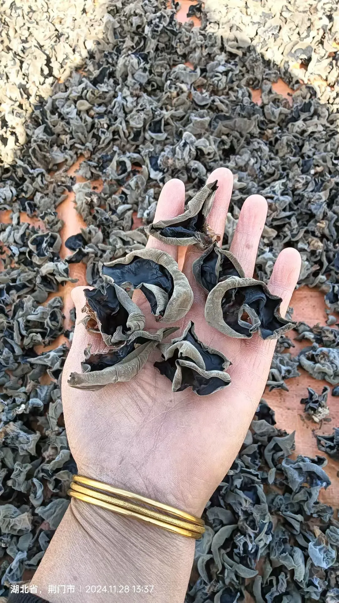 木耳大丰收了！