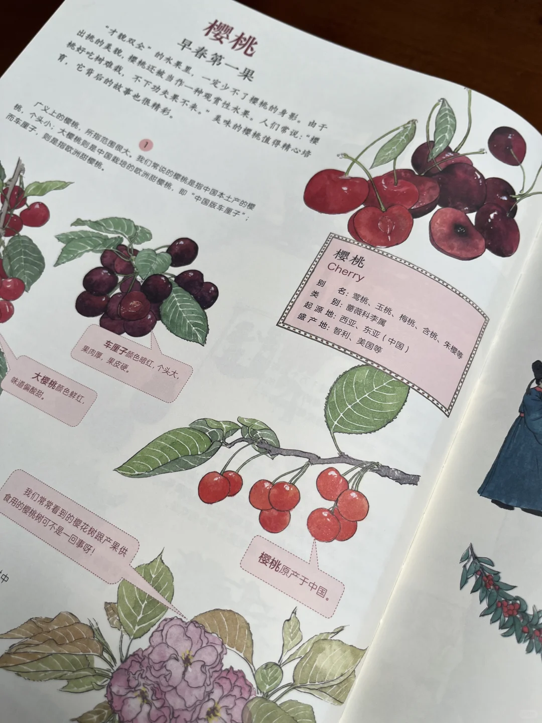 非常棒的一本作物科普书,中餐的秘密在这里