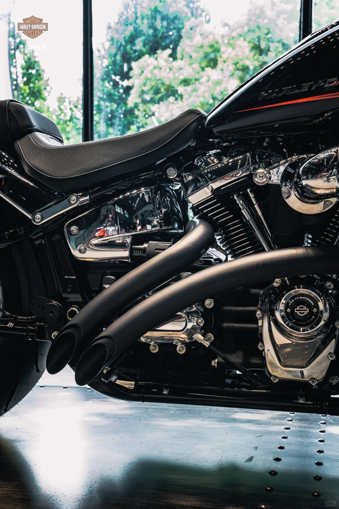 骑上哈雷突破者，世界都是你的?️