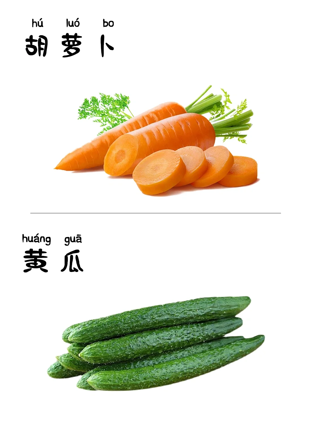 儿童早教启蒙识图-蔬菜